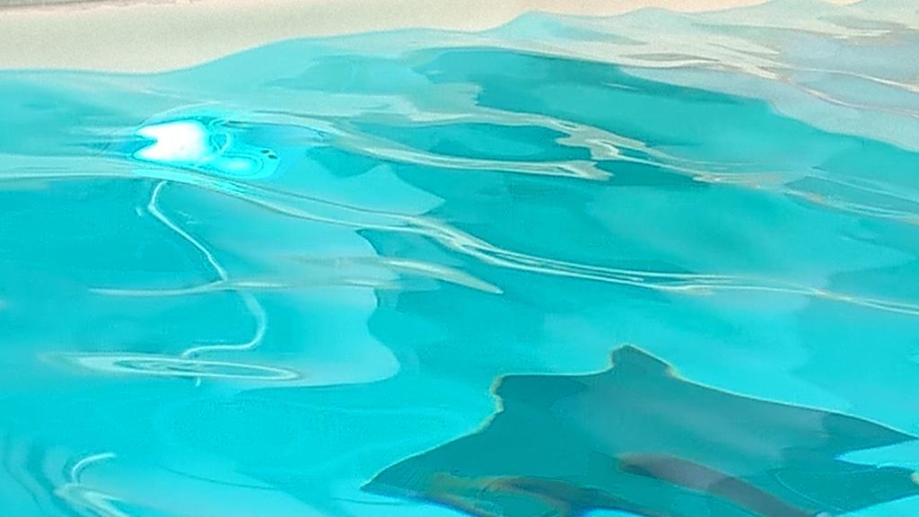 Hotel Terme Belvedere 아바노테르메 외부 사진